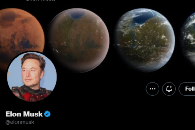 Elon Musk Poll: VOTE HERE on Whether Musk Should Stay Twitter CEO