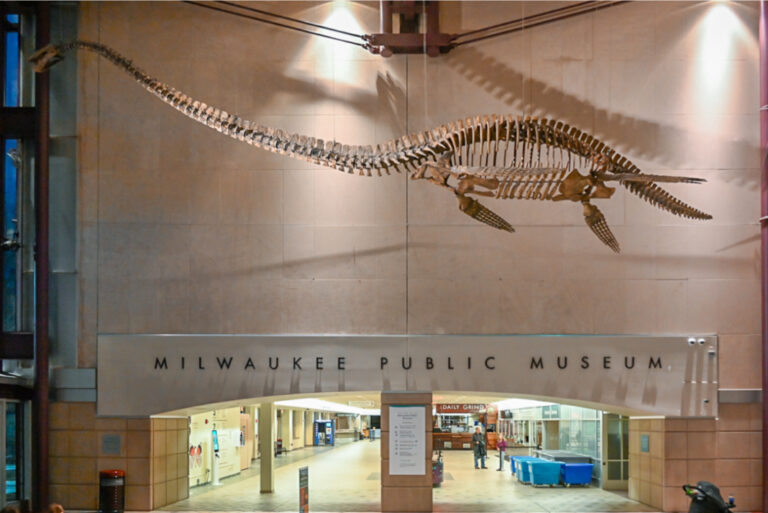 Milwaukee Public Museum Officials Misled the Public About Accreditation, Traveling Exhibits