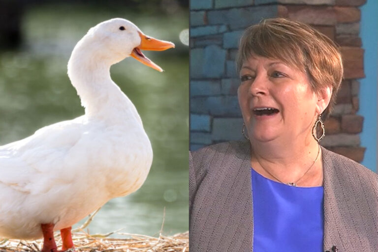 Janet Protasiewicz Ducks 3rd & 4th Debate With Dan Kelly