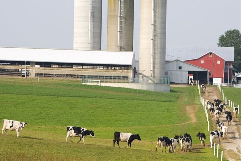 Wisconsin Dairy Farmers Cheer SCOTUS Ruling on EPA’s Waters of the United States Rule